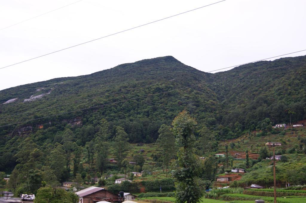 Winter Dream Holiday Bungalow Nuwara Eliya Zimmer foto