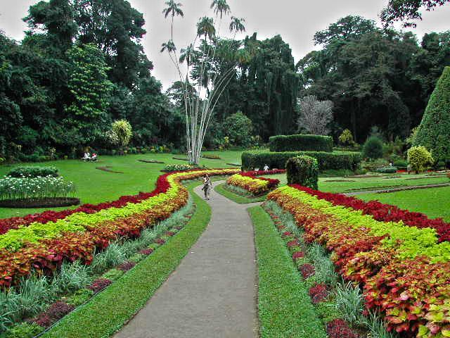 Winter Dream Holiday Bungalow Nuwara Eliya Exterior foto